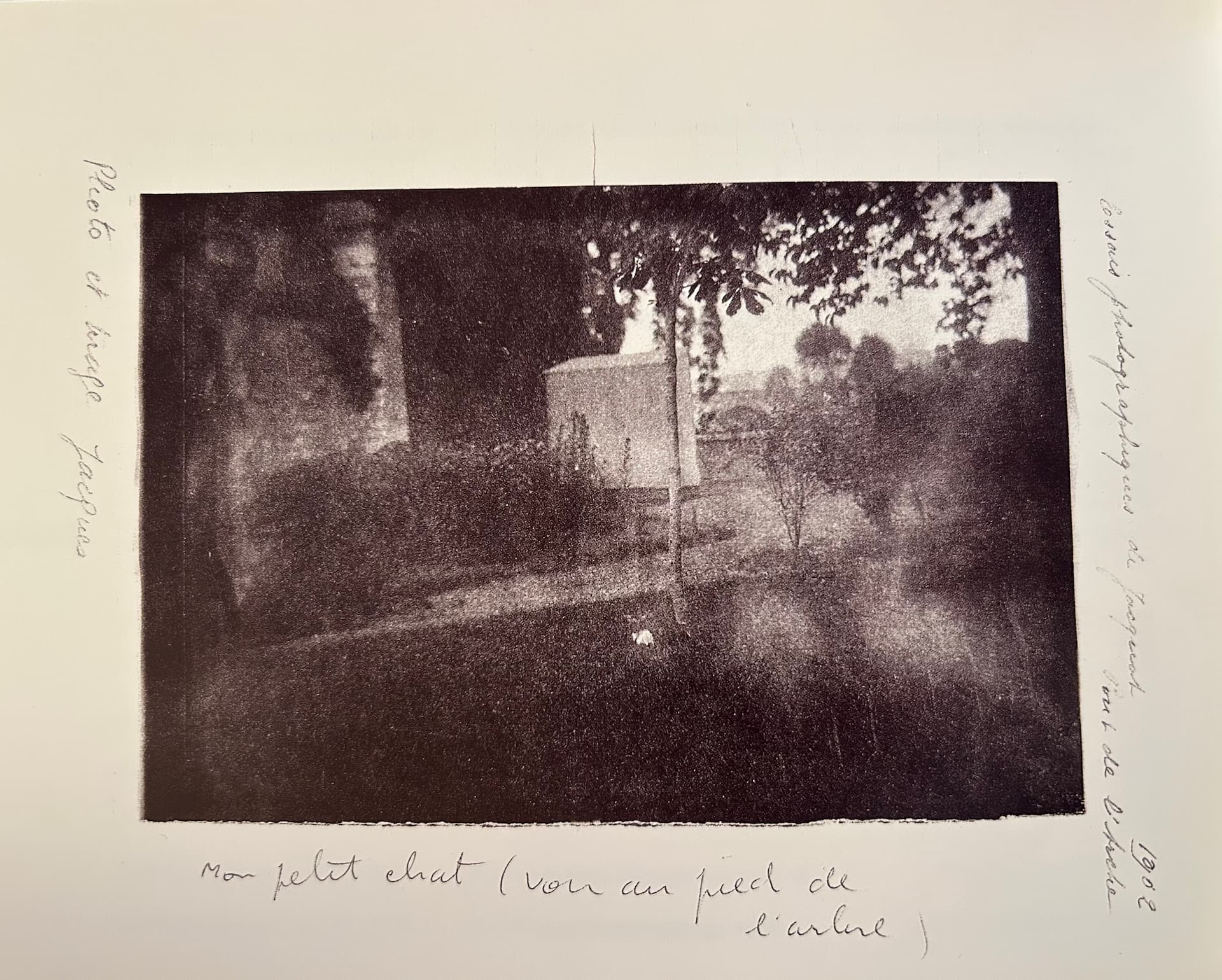 Mon petit chat (voir au pied de l’arbre), Pont de l’Arche, 1902 Mon petit chat (voir au pied de l’arbre), Pont de l’Arche, 1902